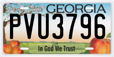 GA license plate PVU3796