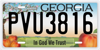 GA license plate PVU3816