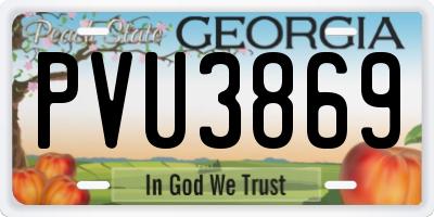GA license plate PVU3869