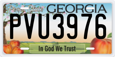 GA license plate PVU3976