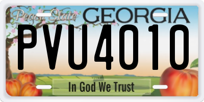 GA license plate PVU4010