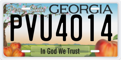 GA license plate PVU4014