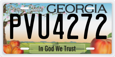 GA license plate PVU4272