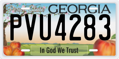GA license plate PVU4283