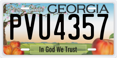 GA license plate PVU4357