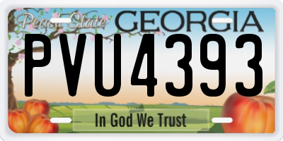 GA license plate PVU4393