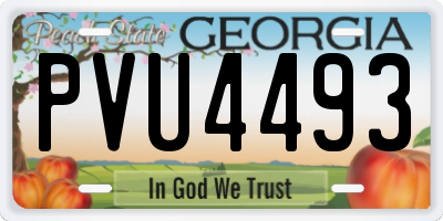GA license plate PVU4493