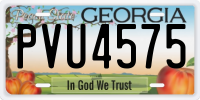 GA license plate PVU4575