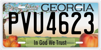 GA license plate PVU4623