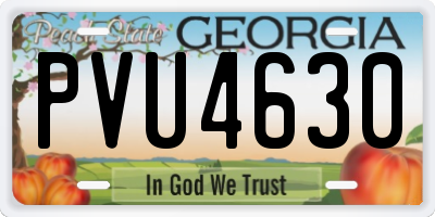 GA license plate PVU4630