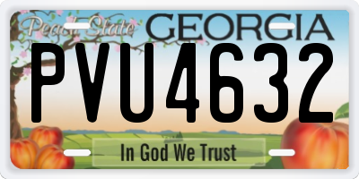 GA license plate PVU4632