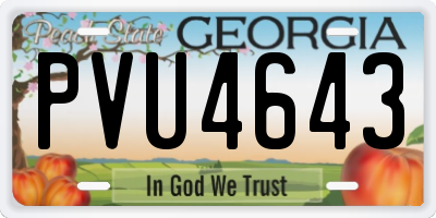 GA license plate PVU4643