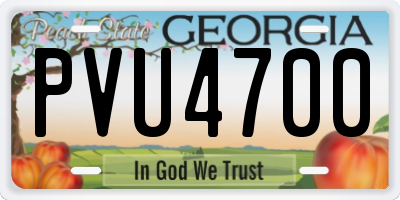 GA license plate PVU4700