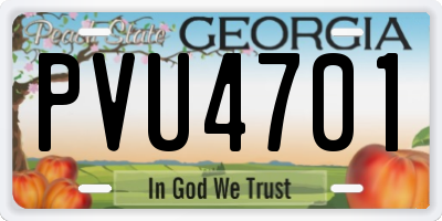 GA license plate PVU4701