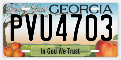 GA license plate PVU4703