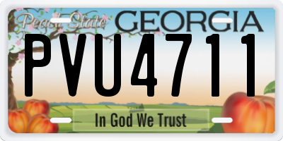 GA license plate PVU4711