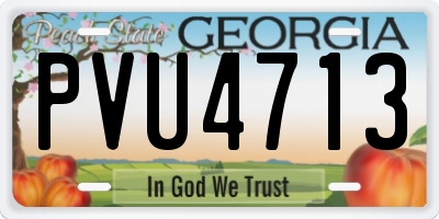 GA license plate PVU4713