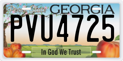 GA license plate PVU4725