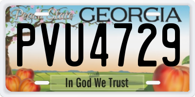 GA license plate PVU4729