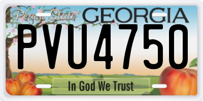 GA license plate PVU4750