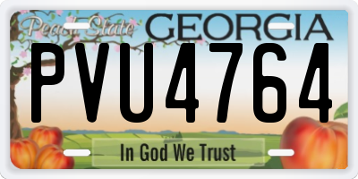 GA license plate PVU4764