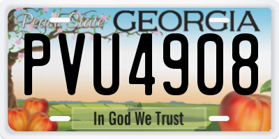GA license plate PVU4908