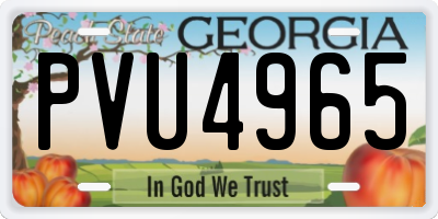 GA license plate PVU4965