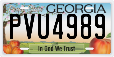 GA license plate PVU4989