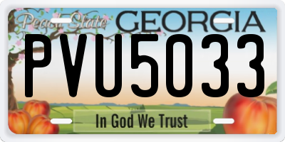 GA license plate PVU5033
