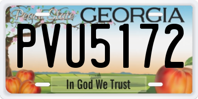 GA license plate PVU5172