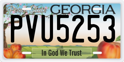 GA license plate PVU5253