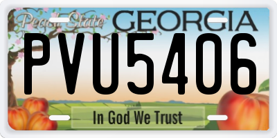GA license plate PVU5406