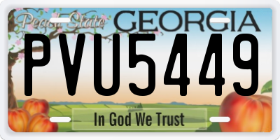 GA license plate PVU5449