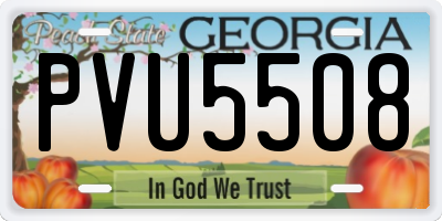 GA license plate PVU5508