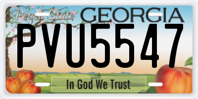 GA license plate PVU5547