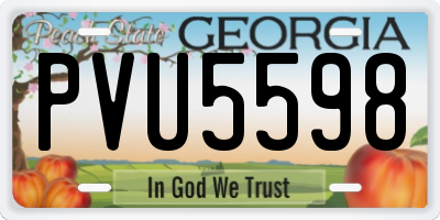 GA license plate PVU5598