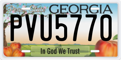 GA license plate PVU5770