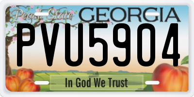 GA license plate PVU5904