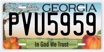 GA license plate PVU5959