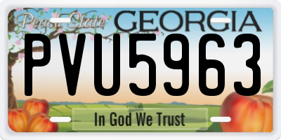 GA license plate PVU5963