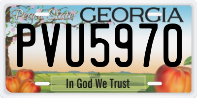 GA license plate PVU5970