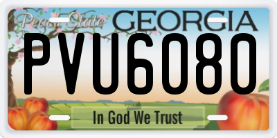 GA license plate PVU6080