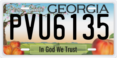 GA license plate PVU6135