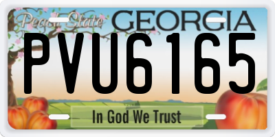 GA license plate PVU6165