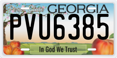 GA license plate PVU6385