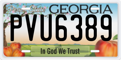 GA license plate PVU6389