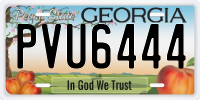 GA license plate PVU6444