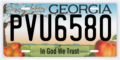 GA license plate PVU6580
