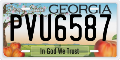 GA license plate PVU6587