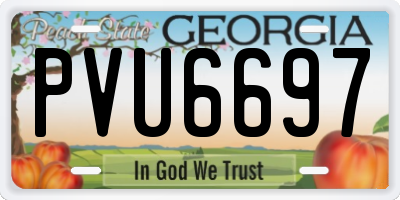 GA license plate PVU6697